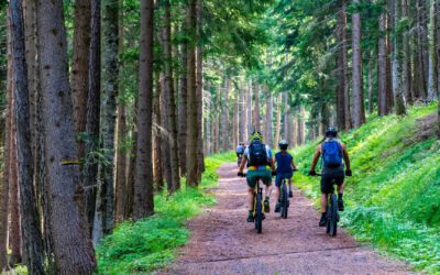 Kultur, Natur, Entspannung: E-Bike-Wochen durch das liebliche Taubertal – Anmeldungen noch bis 16.07. 2021 möglich