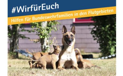 #WirfürEuch – zu Besuch bei Kamerad Hund